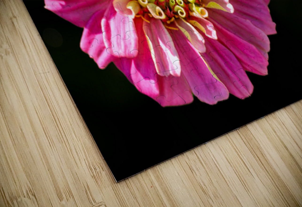 Pink and Yellow Zinnia Pisarek Photography Puzzle