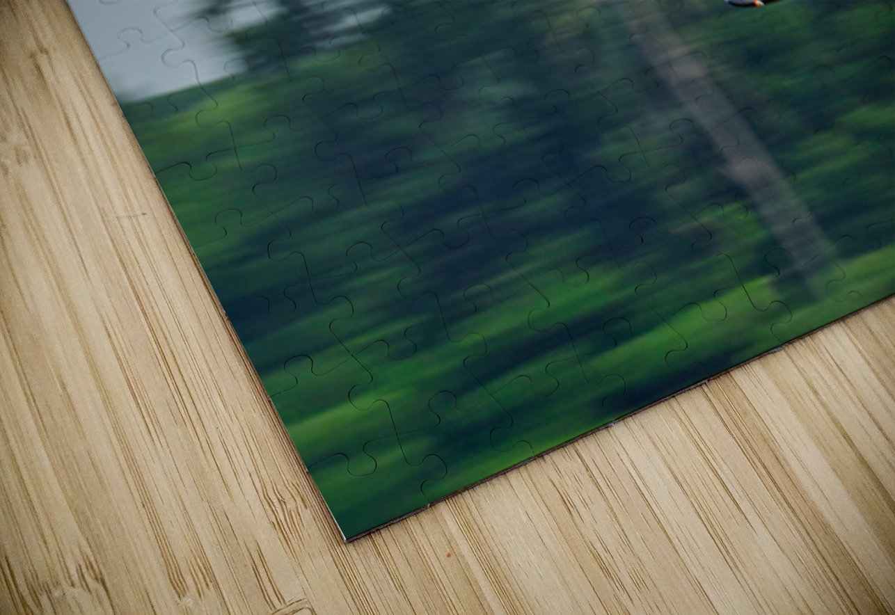 P-51D Mustang - Quicksilver Pisarek Photography Puzzle