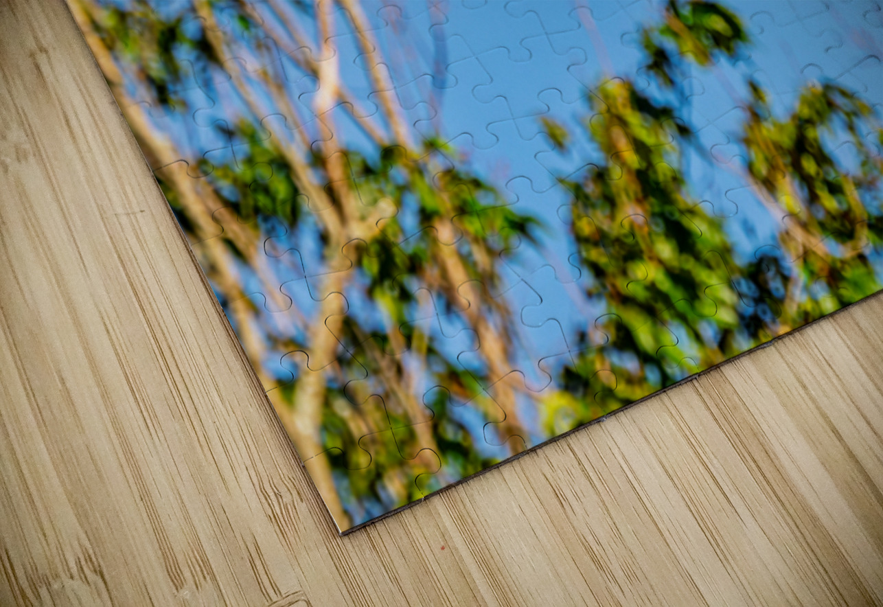 An Osprey Soars Pisarek Photography Puzzle