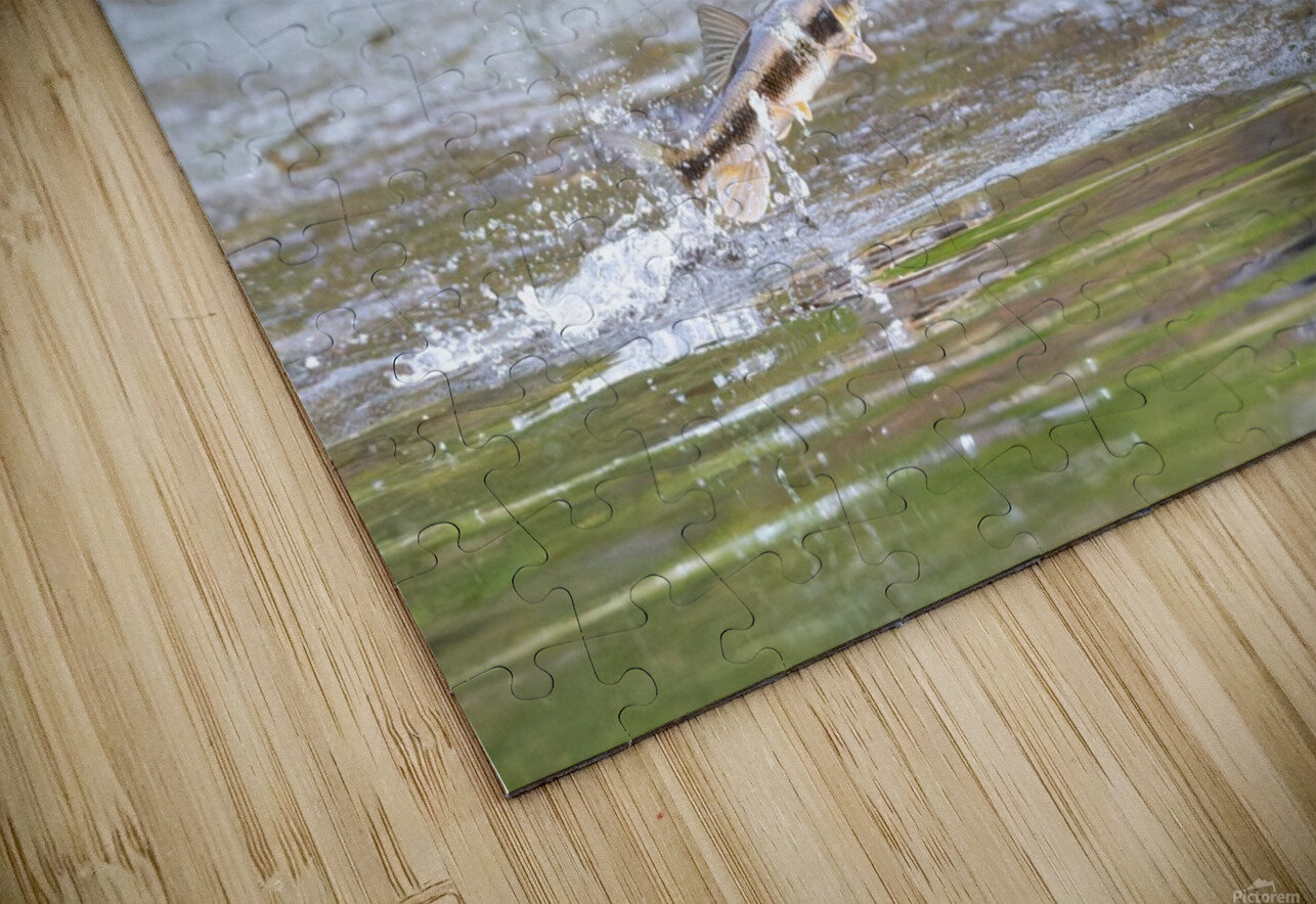 Not Today Pisarek Photography Puzzle