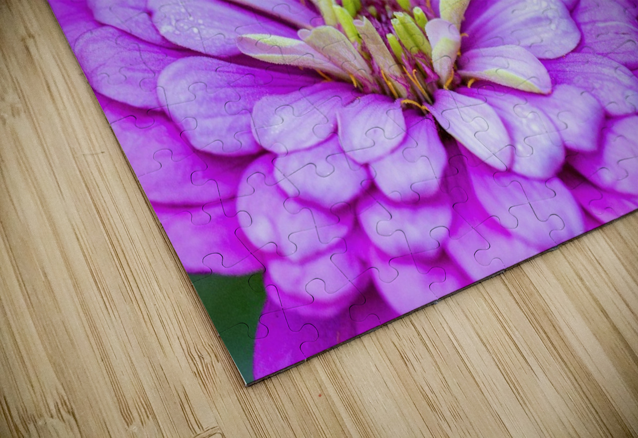 Glistening Purple Zinnia  Pisarek Photography Puzzle