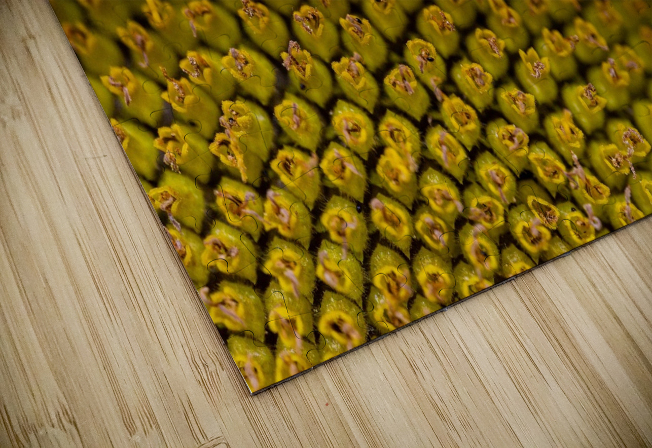 SunFlower Close Up Pisarek Photography Puzzle