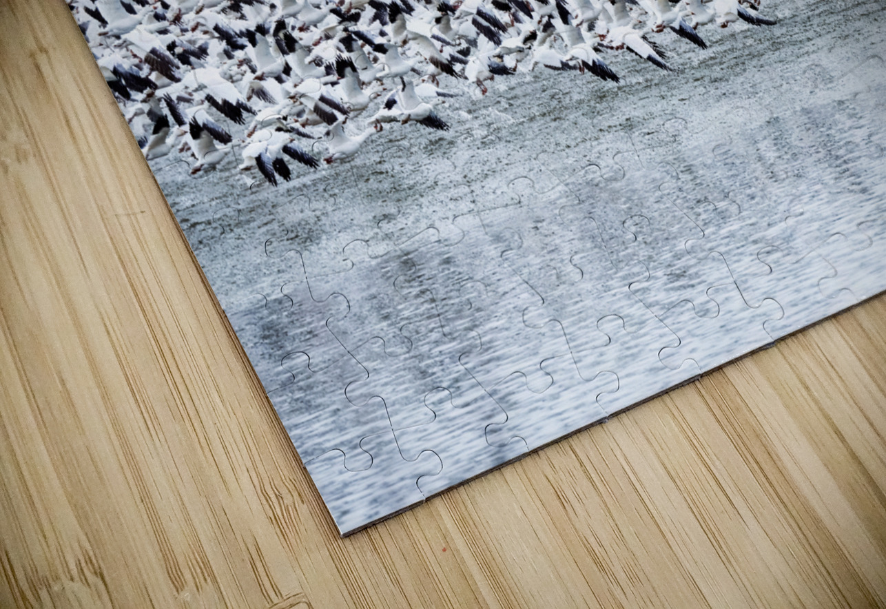 Snow Geese Migration Pisarek Photography Puzzle