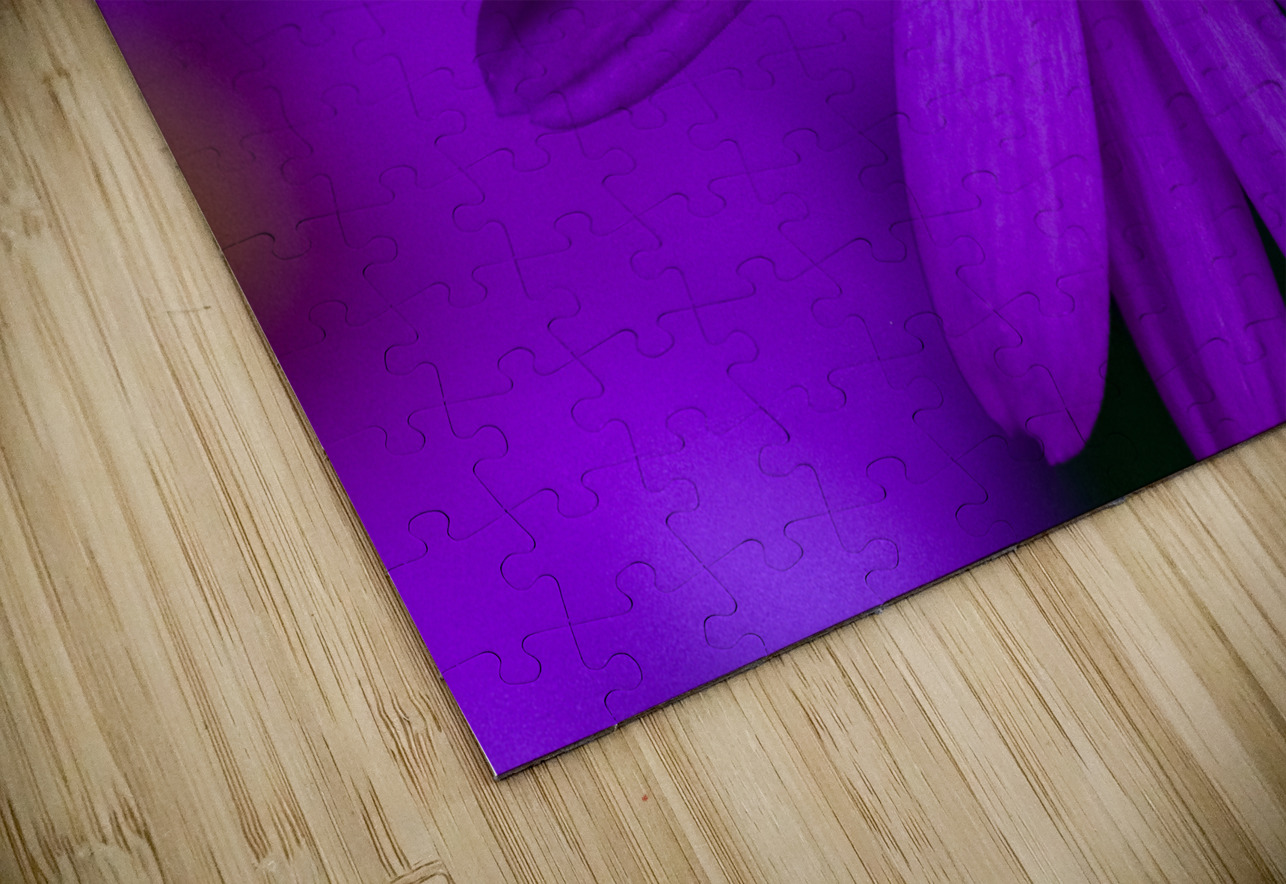 Purple Aster Pisarek Photography Puzzle