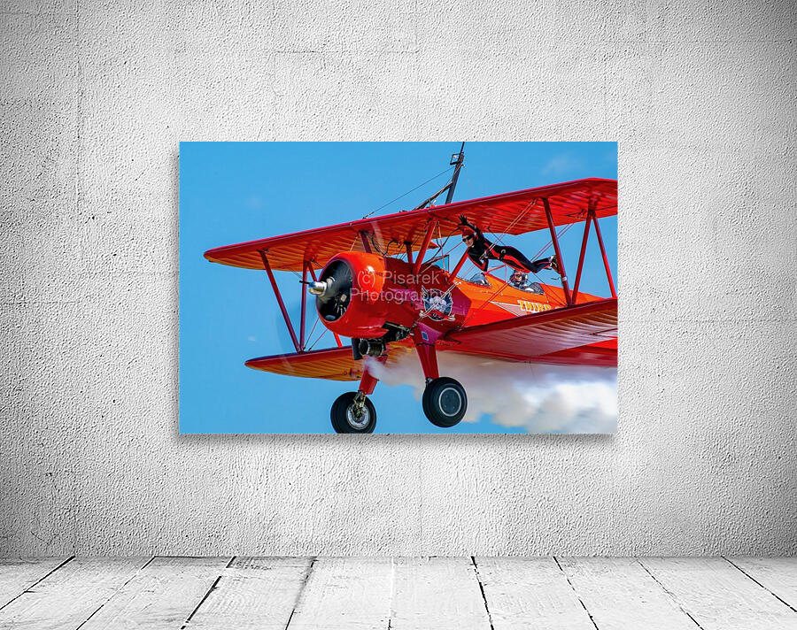 Flying Circus Wall Preview