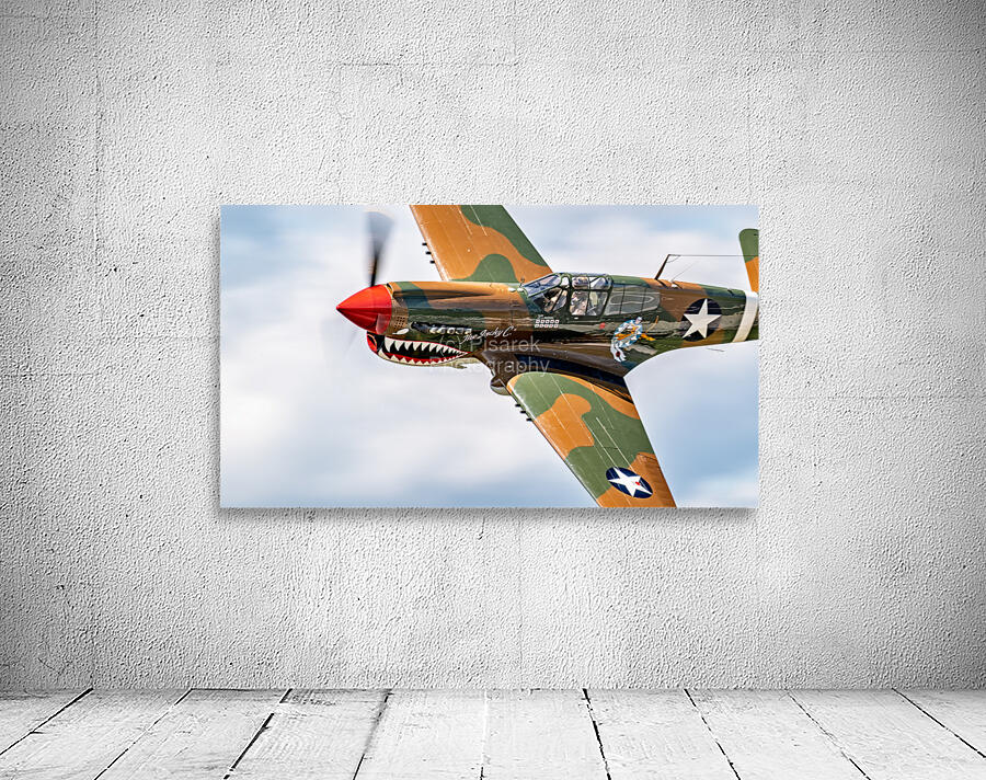 Curtiss P-40 WarHawk Wall Preview