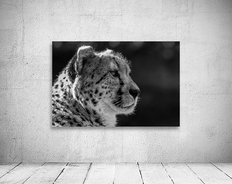 Cheetah Wall Preview