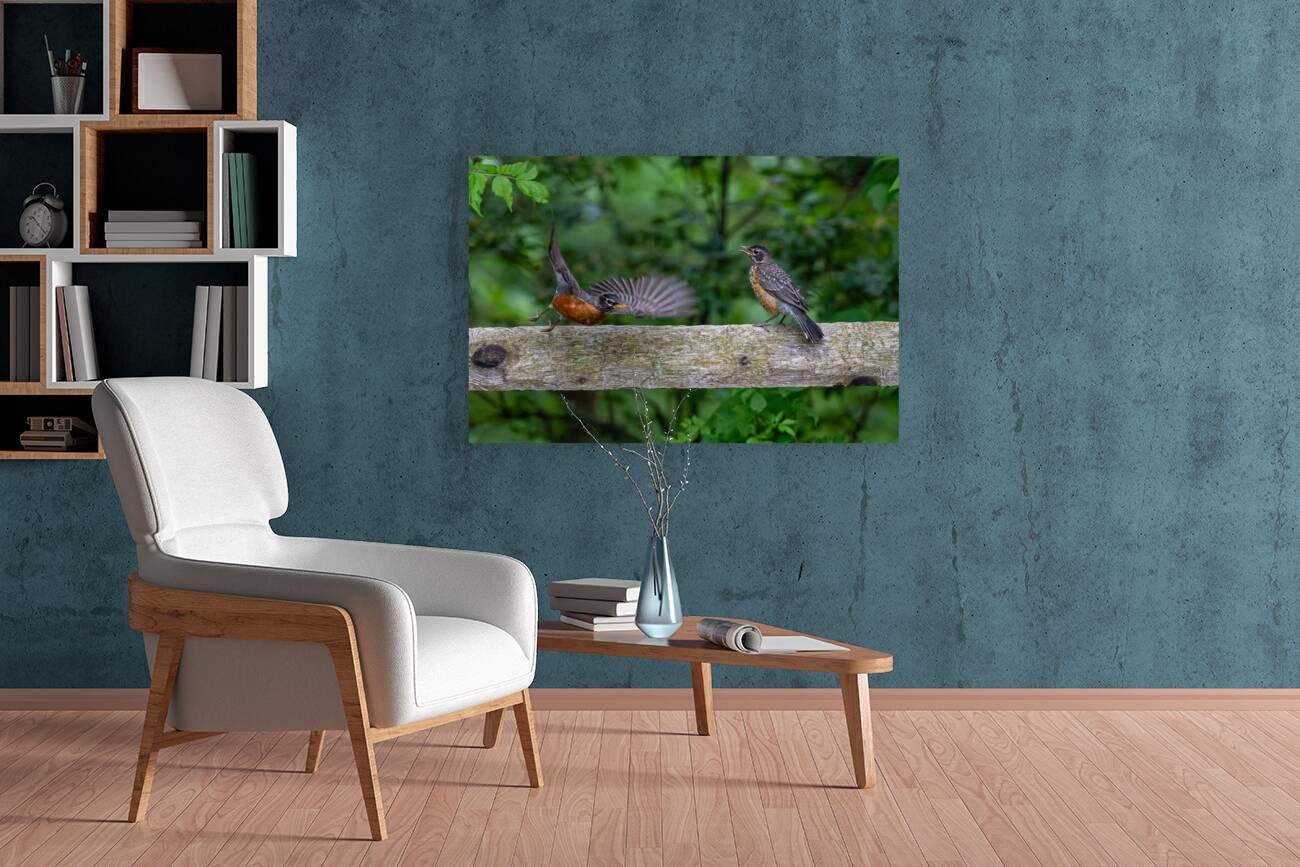 A Pair of Robins Reproduction