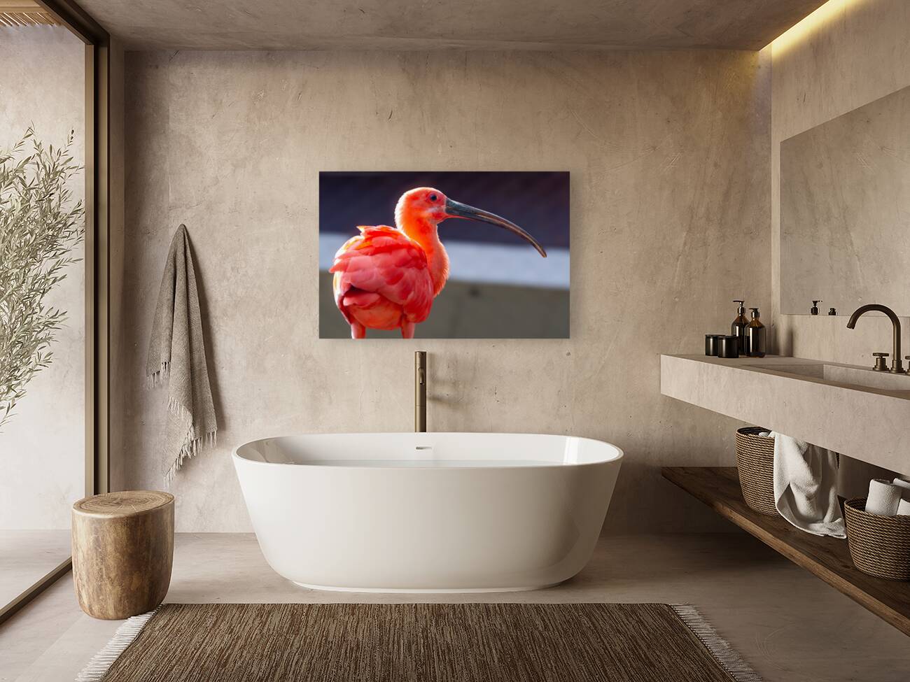 Scarlet Ibis Reproduction