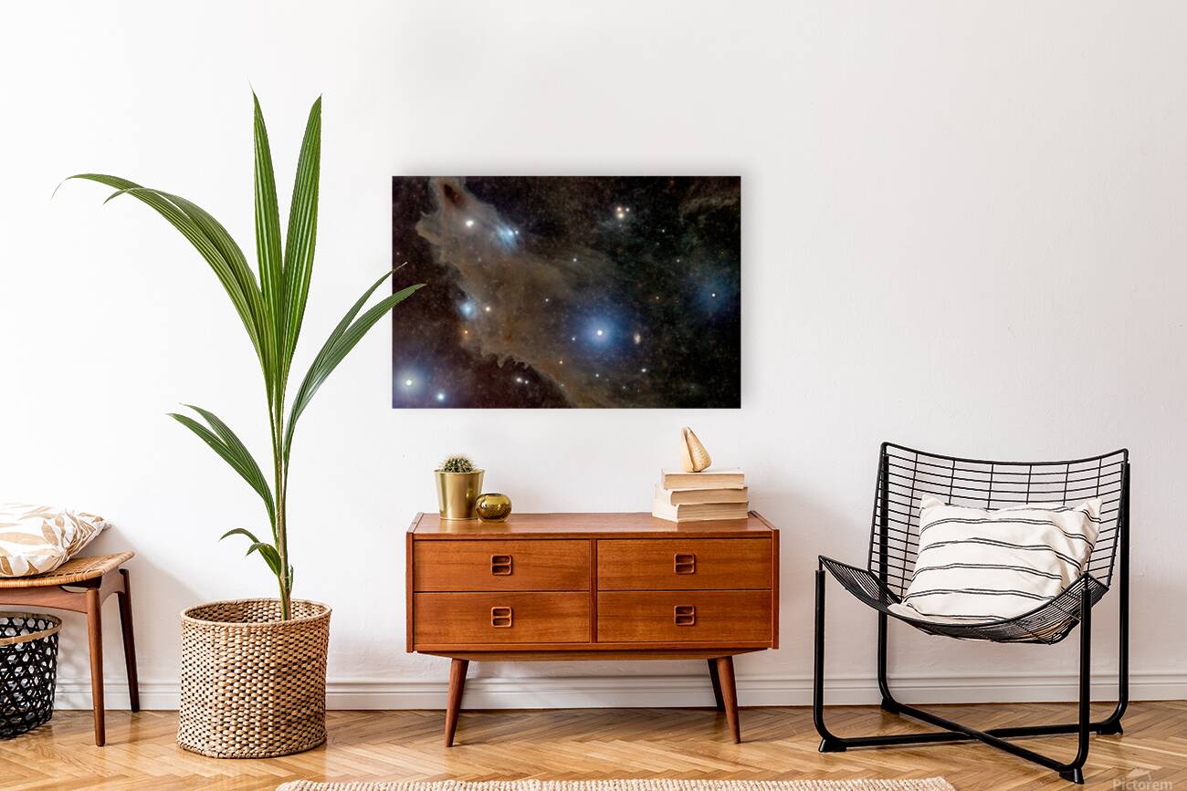 LDN 1235: The Shark Nebula Reproduction