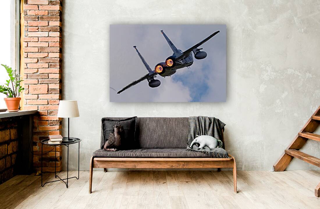 McDonnell Douglas USAF F-15 Eagle Reproduction