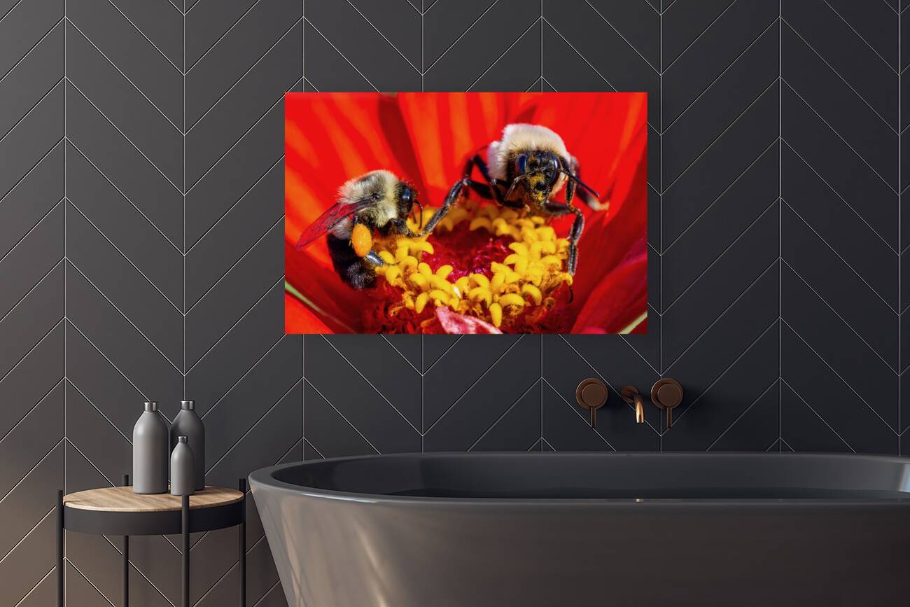 Busy Bees Reproduction