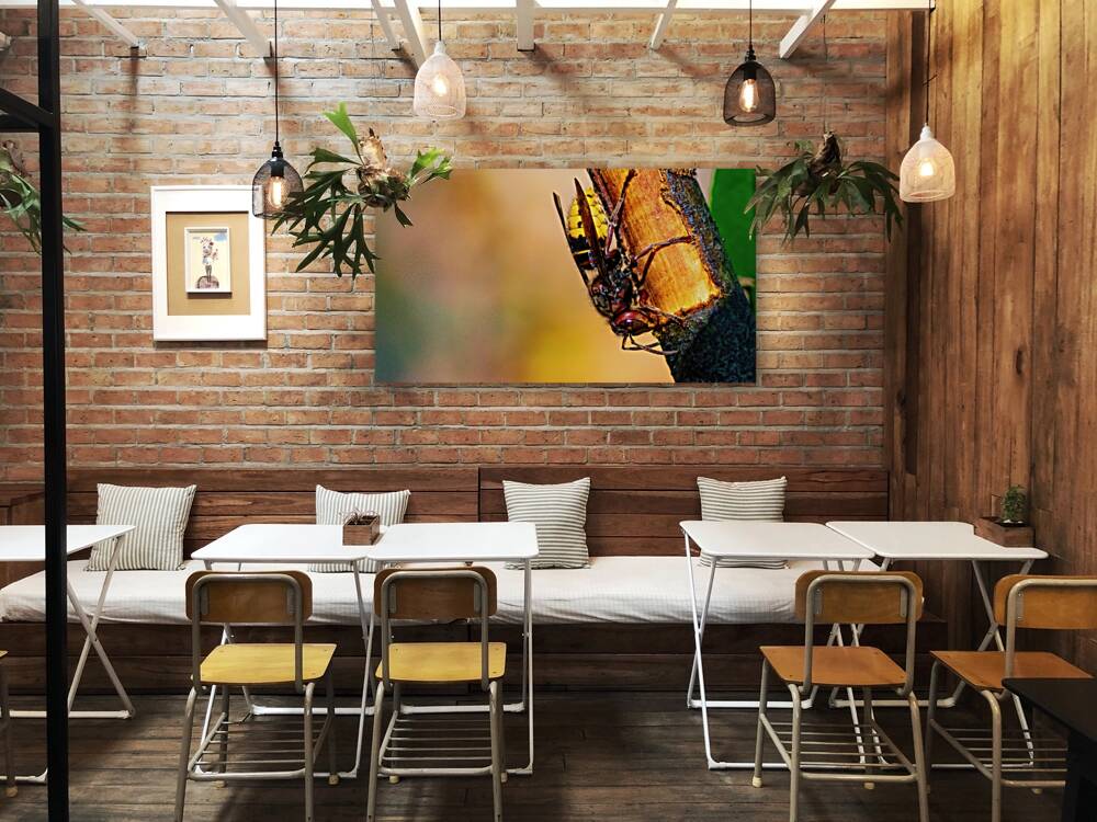 Hornet Collecting Bark for a Nest Reproduction