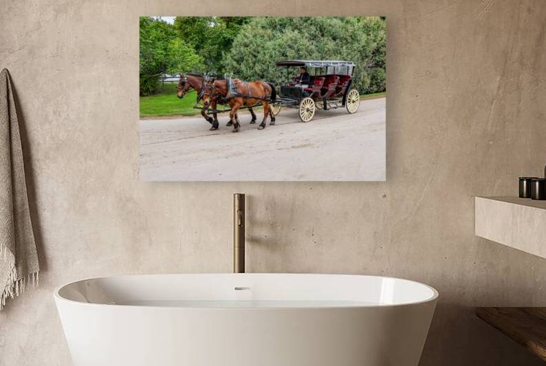 A Pair of Horses pulling a Carriage by Pisarek Photography