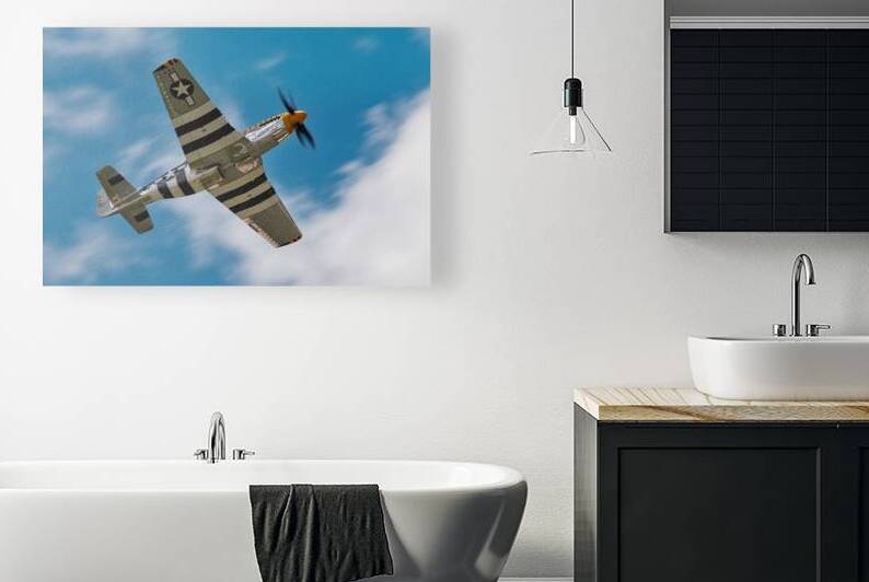 North American Aviation P-51 Mustang Bald Eagle by Pisarek Photography