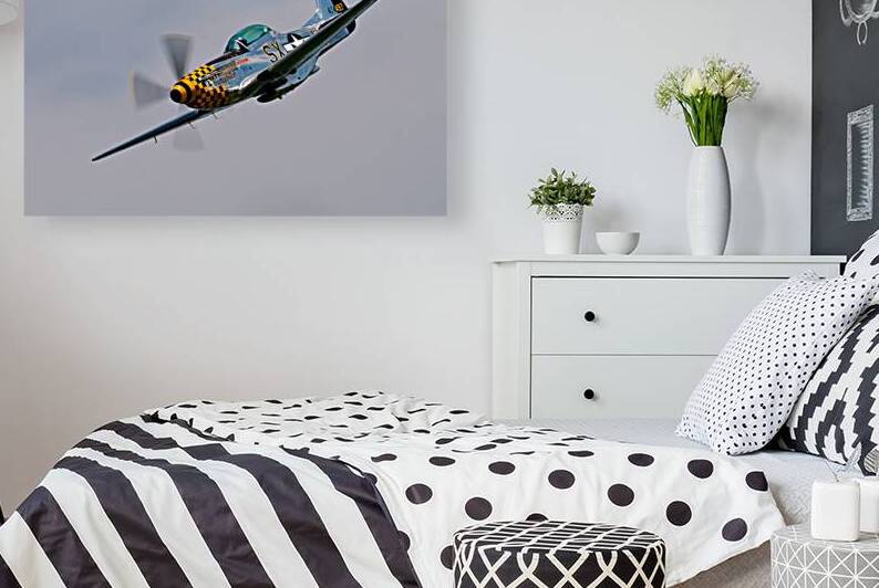 P-51 Mustang - Little Witch by Pisarek Photography