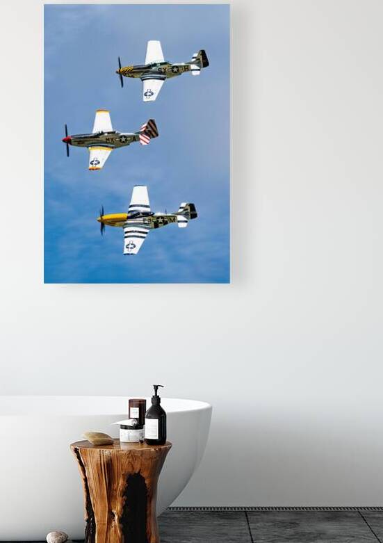 Jack Aces Flight Demonstration Team by Pisarek Photography