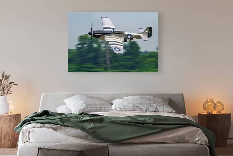 P-51D Mustang - Quicksilver by Pisarek Photography