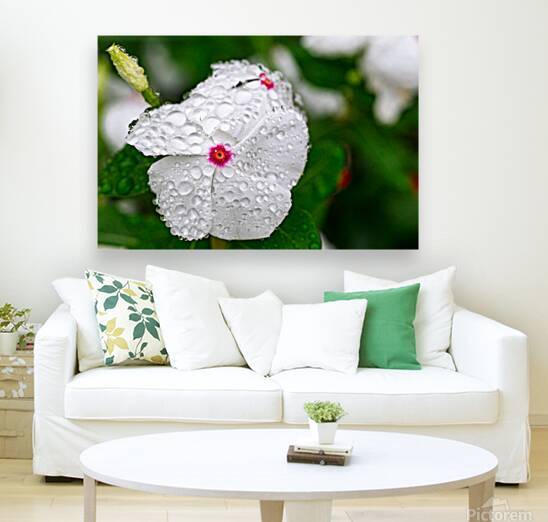 After The Storm by Pisarek Photography