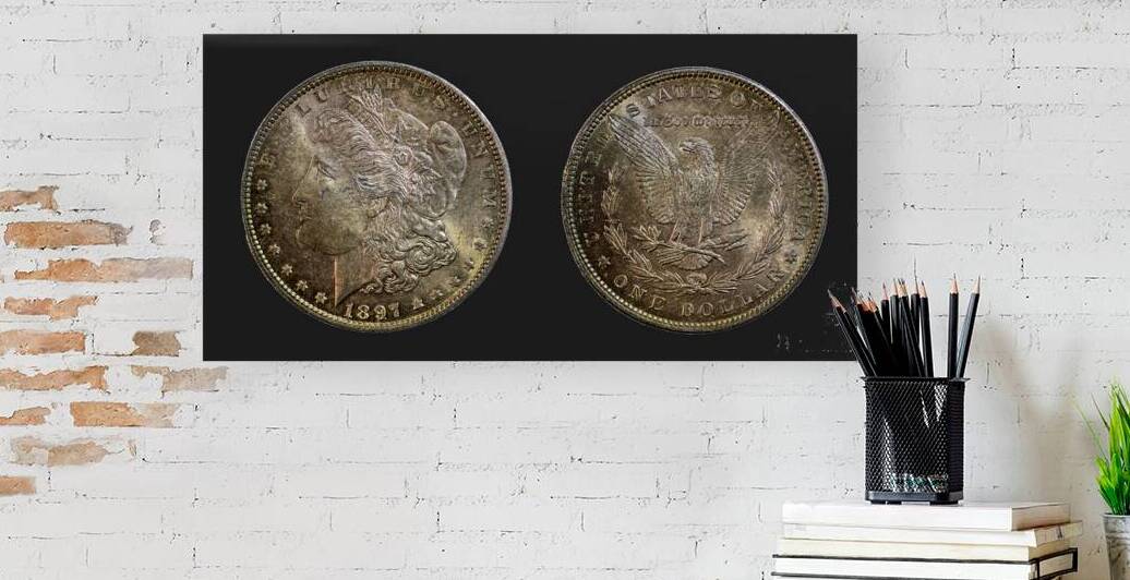 1897 United States Morgan Silver Dollar by Pisarek Photography