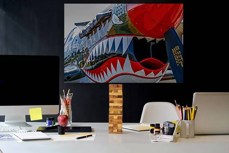 Curtiss P-40 Warhawk Nose Art by Pisarek Photography