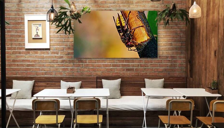 Hornet Collecting Bark for a Nest by Pisarek Photography